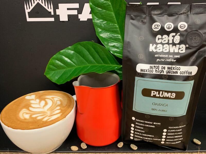 Cup of cappuccino with a tulip design, a red jug, a bag of Café Kaawa Pluma. Decorated by green leafs and coffee beans