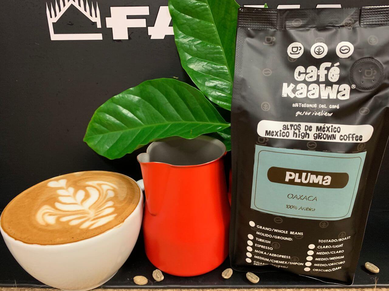 Cup of cappuccino with a tulip design, a red jug, a bag of Café Kaawa Pluma. Decorated by green leafs and coffee beans