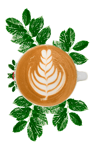 Gráfico de una taza de café